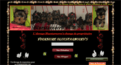 Desktop Screenshot of bluestarnorevs.fr